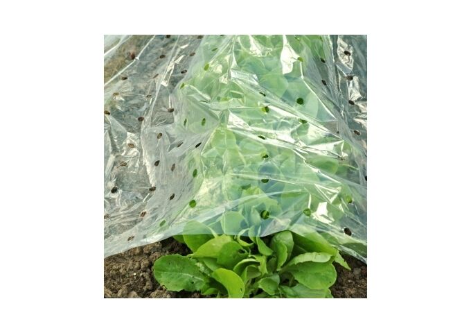 Floraworld Frühbeetfolie Classic 10x1,5m,gelocht,transparent