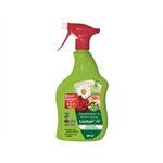 Protect Garden Zierpflanzen & Rosen- Spray Lizetan AF 500 ml