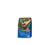 Kiepenkerl Blumen-Wiese 250G Preisgruppe ---