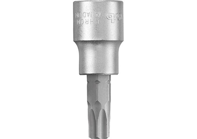 372545-100.jpg