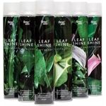 fleur ami Blattglanzspray 750ml