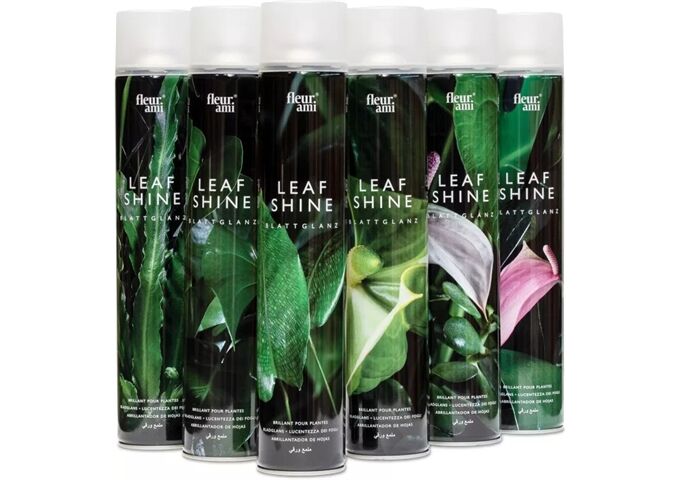 fleur ami Blattglanzspray 750ml