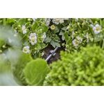 Gardena Micro-Drip-System Rohrhalter, (3/16´ ´) - Inhalt ;