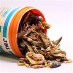 JBL JBL Energil 1l Schildkrötenfutter