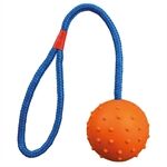 Trixie Ball am Seil, Naturgummi, Durchm. 6cm / 30 cm