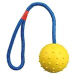 Trixie Ball am Seil, Naturgummi, Durchm. 6cm / 30 cm