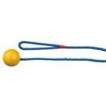 Trixie Ball am Seil, Naturgummi, Durchm. 5cm / 1,00 m