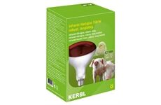 Kerbl Infrarotlampe 250W Hartglas, rot