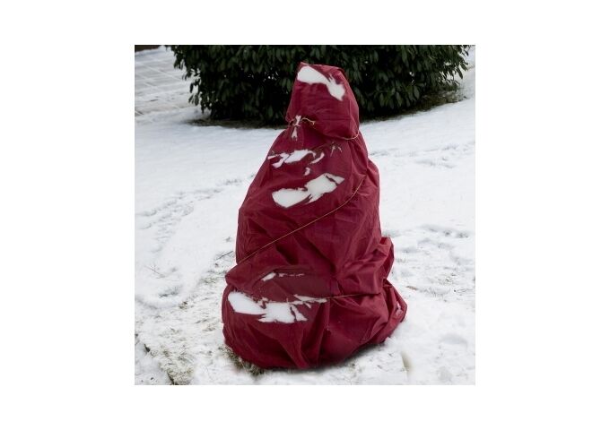 Floraworld Wintervlies Classic 5x1,5m, 30g/m2,rot