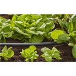 Gardena Micro-Drip-System Verlegerohr 13 mm(1/2 ´ ´), 15 m