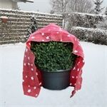 Floraworld Haubenvlies Stern 50g/m2 rot/weiß,130x160cm