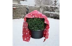 Floraworld Haubenvlies Stern 50g/m2 rot/weiß,130x160cm