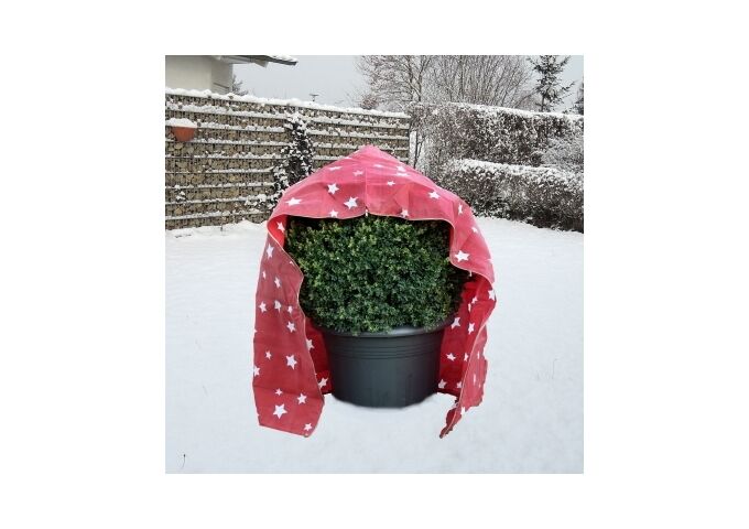 Floraworld Haubenvlies Stern 50g/m2 rot/weiß,130x160cm