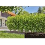 Gardena Micro-Drip-System Set Sträucher/Hecken 50 m
