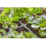 Gardena Micro-Drip-System Kreuzstück 3/16''