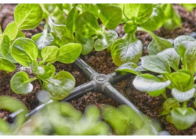 Gardena Micro-Drip-System Kreuzstück 3/16''