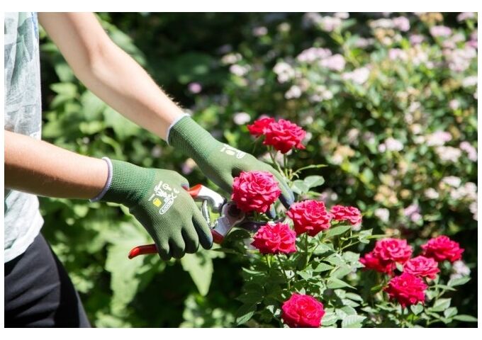 Kerbl Kinderhandschuh TOWA moosgrün 4-6 Jahre, latexbesc