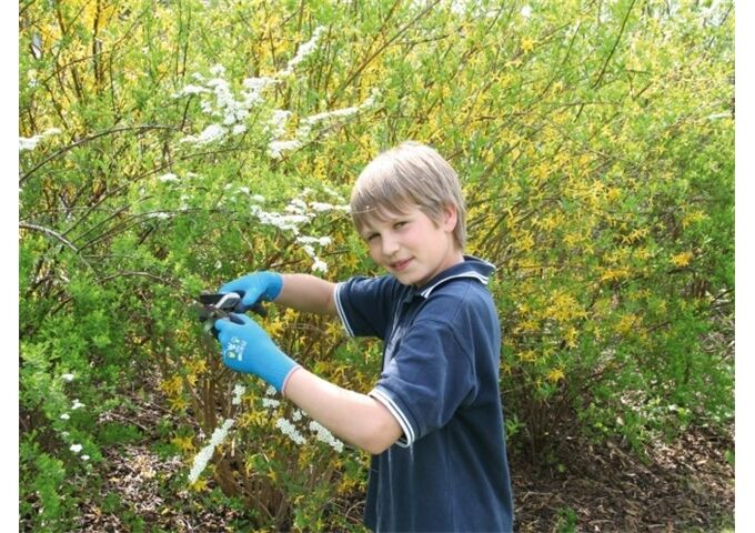 Kerbl Kinderhandschuh aquablau 7-11 Jahre, latexbeschich