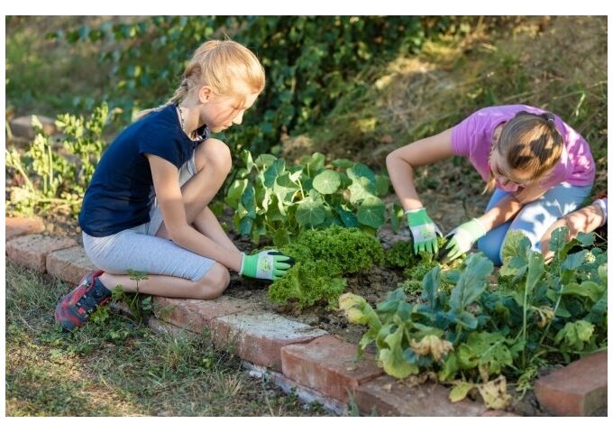 Kerbl Kinderhands. THINKGREEN Sprout 8-10Jahre, latexbes