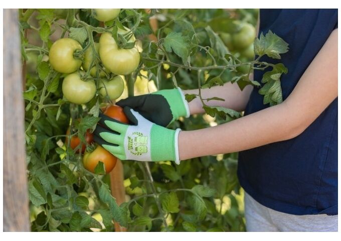 Kerbl Kinderhands. THINKGREEN Sprout 5-8Jahre, latexbesc
