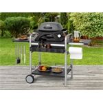 Tepro Tisch-Gasgrill Abington 1-Brenner, mit Seitenablag