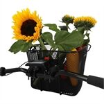 Fischer Bike Korb mit Ebike Halterhung