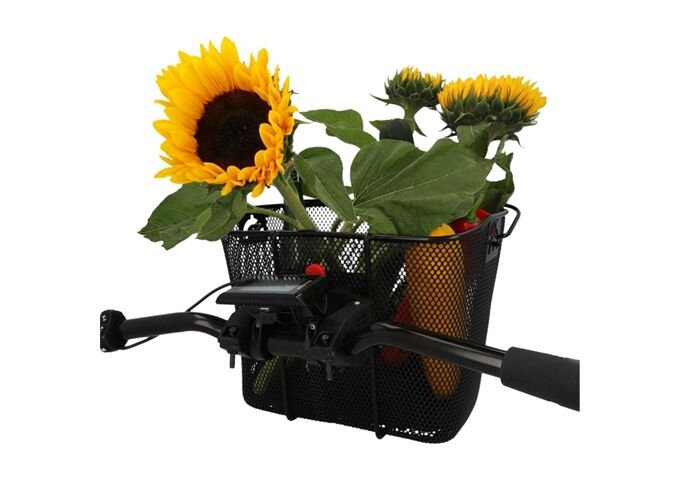 Fischer Bike Korb mit Ebike Halterhung