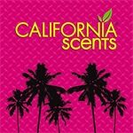 California Scents Palm Lufterfrischer Monterey Vanilla