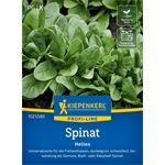 Kiepenkerl Spinat Helios, F1