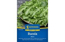 Kiepenkerl Rucola Astra