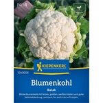 Kiepenkerl Blumenkohl Balak, F1