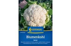 Kiepenkerl Blumenkohl Balak, F1