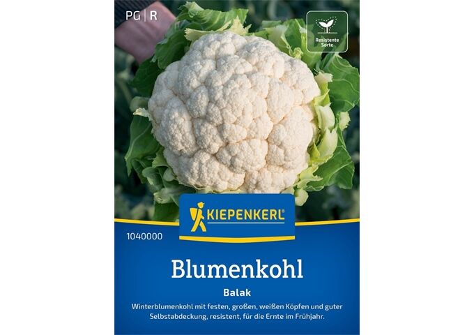 Kiepenkerl Blumenkohl Balak, F1