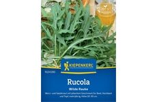 Kiepenkerl Rucola Wilde Rauke