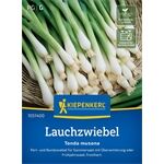 Kiepenkerl Lauchzwiebel Tonda Musona