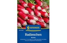 Kiepenkerl Radieschen Bamba
