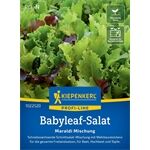 Kiepenkerl Babyleaf- Salat Maraldi Mischung