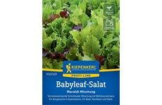 Kiepenkerl Babyleaf- Salat Maraldi Mischung