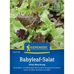 Kiepenkerl Babyleaf-Salat Vital Mischung