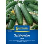 Kiepenkerl Salatgurke Tanja