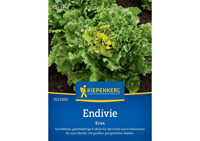 Kiepenkerl Endivie Eros