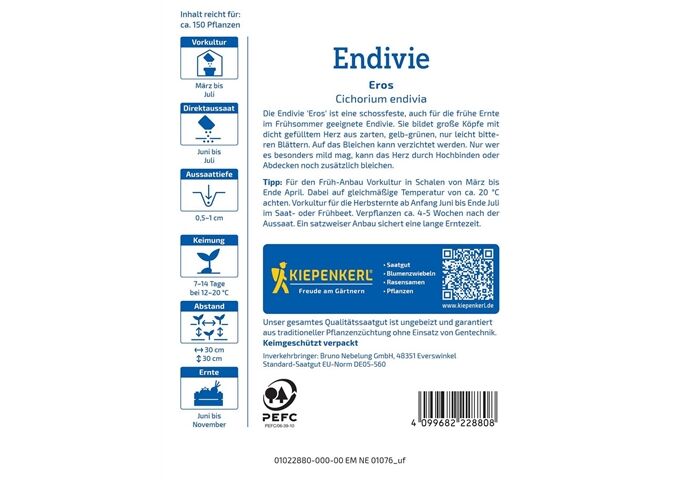 Kiepenkerl Endivie Eros
