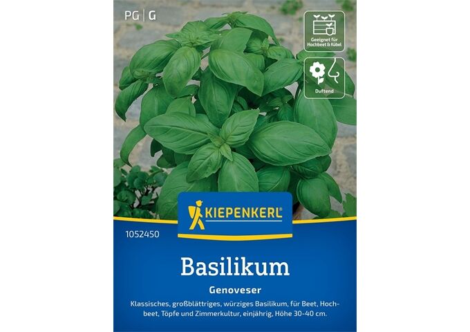 Kiepenkerl Basilikum Genoveser
