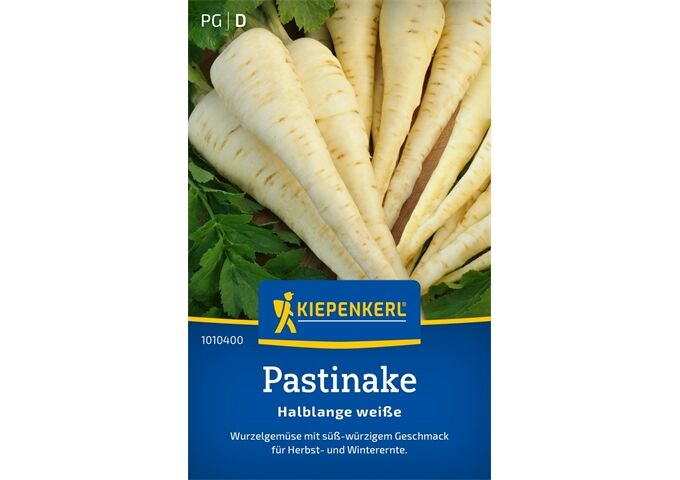 Kiepenkerl Pastinake Halblange weiße