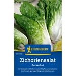 Kiepenkerl Zichoriensalat Zuckerhut