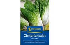Kiepenkerl Zichoriensalat Zuckerhut