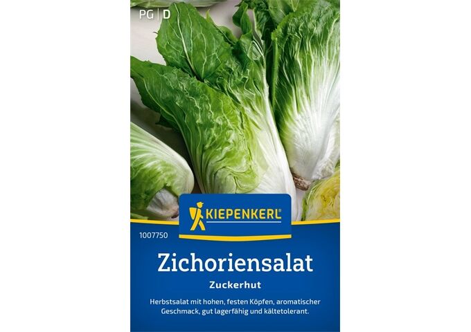 Kiepenkerl Zichoriensalat Zuckerhut