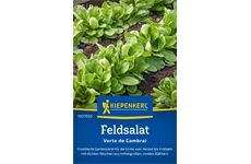 Kiepenkerl Feldsalat Verte de Cambrai