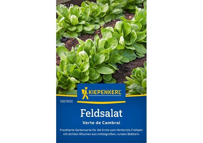 Kiepenkerl Feldsalat Verte de Cambrai