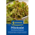 Kiepenkerl Pflücksalat Amerikaanse Roodrand